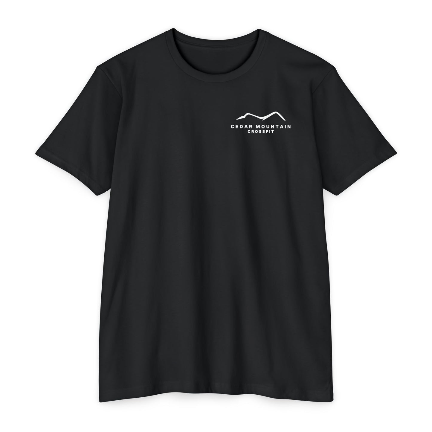 EST. '24 (T-Shirt / Mens)